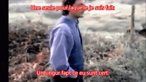 GIF cabrel : cabrel, jetaime, jetaimais