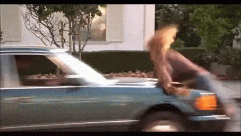 GIF dumb : dumb, dumber, merde, caca, accident