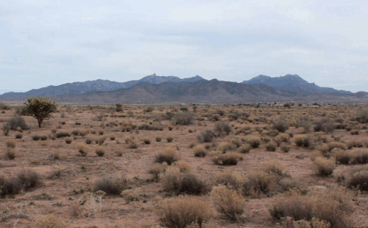 GIF desert
