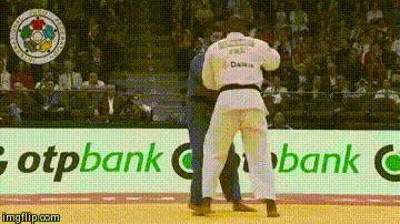 GIF riner : riner, osotogari