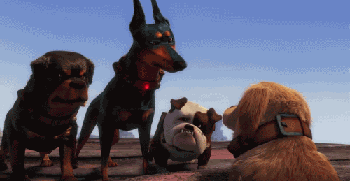 GIF quoi : quoi, what