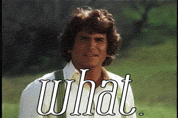 GIF quoi : quoi, what, ingalls, charles