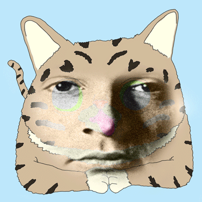 GIF grumpy lorys : grumpy lorys, grumpy
